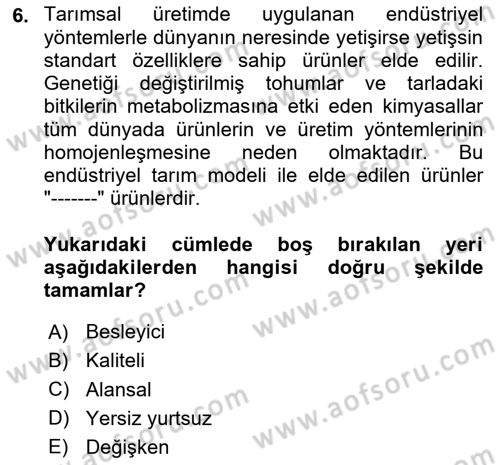 Yemek Sosyolojisi Dersi 2025 - 2026 Yılı (Vize) Ara Sınav Soruları 6. Soru