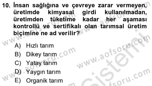 Yemek Sosyolojisi Dersi 2025 - 2026 Yılı (Final) Dönem Sonu Sınav Soruları 10. Soru