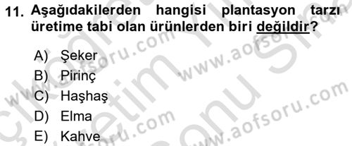 Yemek Sosyolojisi Dersi 2025 - 2026 Yılı (Final) Dönem Sonu Sınav Soruları 11. Soru
