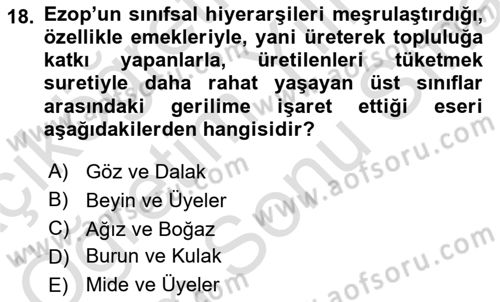 Yemek Sosyolojisi Dersi 2025 - 2026 Yılı (Final) Dönem Sonu Sınav Soruları 18. Soru