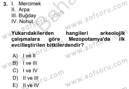 Yemek Sosyolojisi Dersi 2025 - 2026 Yılı (Final) Dönem Sonu Sınav Soruları 3. Soru