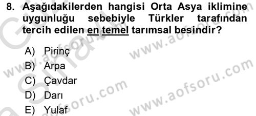 Türk Mutfak Kültürü Dersi Ara Sınavı Deneme Sınav Soruları 8. Soru