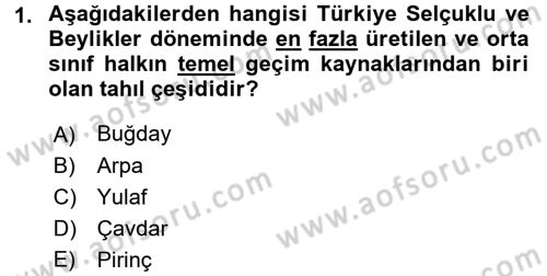 Türk Mutfak Kültürü Dersi 2016 - 2017 Yılı (Final) Dönem Sonu Sınav Soruları 1. Soru