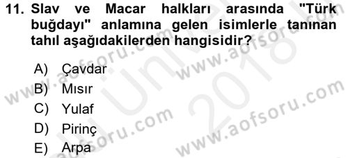 Türk Mutfak Kültürü Dersi 2017 - 2018 Yılı 3 Ders Sınav Soruları 11. Soru