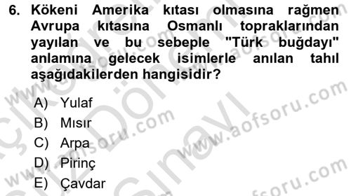 Türk Mutfak Kültürü Dersi 2019 - 2020 Yılı (Final) Dönem Sonu Sınavı 6. Soru