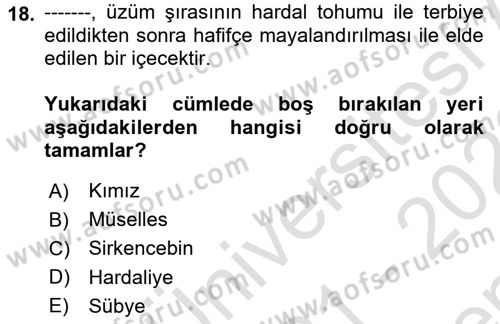 Türk Mutfak Kültürü Dersi 2021 - 2022 Yılı (Final) Dönem Sonu Sınav Soruları 18. Soru