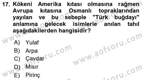 Türk Mutfak Kültürü Dersi 2021 - 2022 Yılı Yaz Okulu Sınav Soruları 17. Soru
