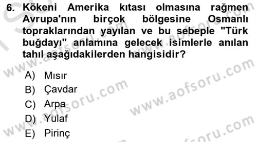 Türk Mutfak Kültürü Dersi 2022 - 2023 Yılı (Final) Dönem Sonu Sınav Soruları 6. Soru