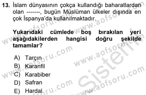 Türk Mutfak Kültürü Dersi 2023 - 2024 Yılı Yaz Okulu Sınav Soruları 13. Soru
