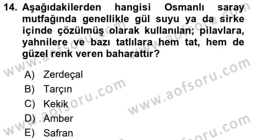 Türk Mutfak Kültürü Dersi 2024 - 2025 Yılı (Vize) Ara Sınav Soruları 14. Soru