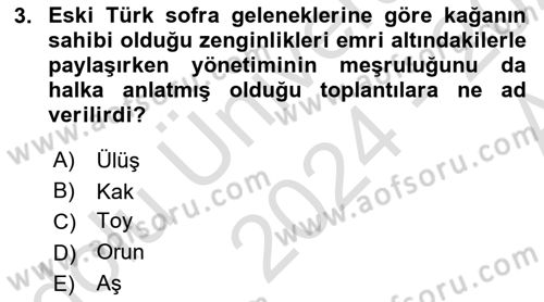 Türk Mutfak Kültürü Dersi 2024 - 2025 Yılı (Vize) Ara Sınav Soruları 3. Soru
