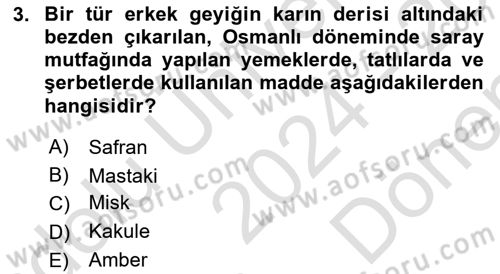 Türk Mutfak Kültürü Dersi 2024 - 2025 Yılı (Final) Dönem Sonu Sınav Soruları 3. Soru