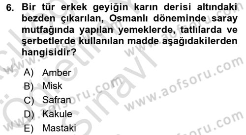 Türk Mutfak Kültürü Dersi 2024 - 2025 Yılı Yaz Okulu Sınav Soruları 6. Soru