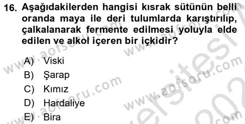 Türk Mutfak Kültürü Dersi 2025 - 2026 Yılı (Final) Dönem Sonu Sınav Soruları 16. Soru