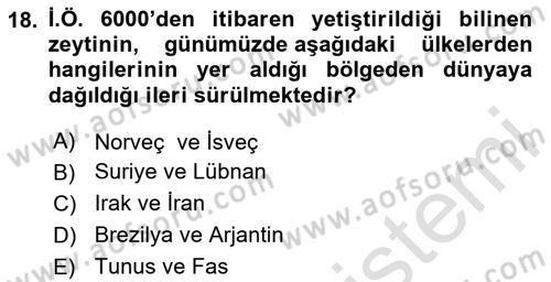 Türk Mutfak Kültürü Dersi 2025 - 2026 Yılı (Final) Dönem Sonu Sınav Soruları 18. Soru
