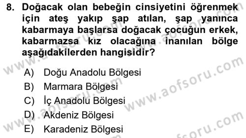 Türk Mutfak Kültürü Dersi 2025 - 2026 Yılı (Final) Dönem Sonu Sınav Soruları 8. Soru