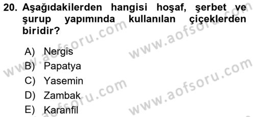 Osmanlı Mutfağı Dersi 2020 - 2021 Yılı Yaz Okulu Sınav Soruları 20. Soru