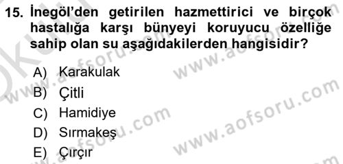 Osmanlı Mutfağı Dersi 2021 - 2022 Yılı Yaz Okulu Sınav Soruları 15. Soru