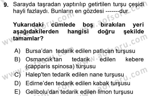 Osmanlı Mutfağı Dersi 2023 - 2024 Yılı (Vize) Ara Sınav Soruları 9. Soru
