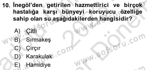 Osmanlı Mutfağı Dersi 2023 - 2024 Yılı (Final) Dönem Sonu Sınav Soruları 10. Soru