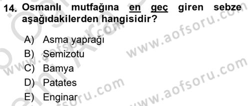 Osmanlı Mutfağı Dersi 2024 - 2025 Yılı (Vize) Ara Sınav Soruları 14. Soru