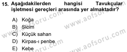 Osmanlı Mutfağı Dersi 2024 - 2025 Yılı (Final) Dönem Sonu Sınav Soruları 15. Soru