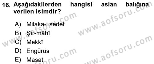 Osmanlı Mutfağı Dersi 2024 - 2025 Yılı (Final) Dönem Sonu Sınav Soruları 16. Soru
