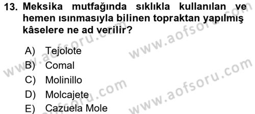 Dünya Mutfakları 1 Dersi 2016 - 2017 Yılı 3 Ders Sınav Soruları 13. Soru