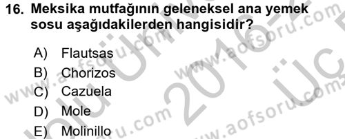 Dünya Mutfakları 1 Dersi 2016 - 2017 Yılı 3 Ders Sınav Soruları 16. Soru