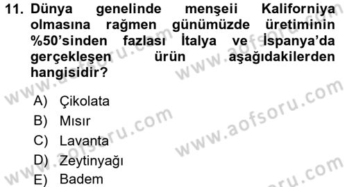 Dünya Mutfakları 1 Dersi 2016 - 2017 Yılı (Vize) Ara Sınav Soruları 11. Soru