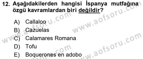 Dünya Mutfakları 1 Dersi 2016 - 2017 Yılı (Vize) Ara Sınav Soruları 12. Soru