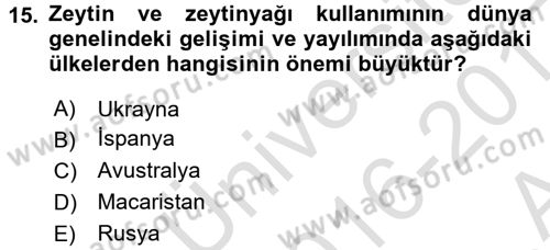 Dünya Mutfakları 1 Dersi 2016 - 2017 Yılı (Vize) Ara Sınav Soruları 15. Soru
