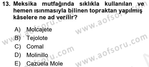 Dünya Mutfakları 1 Dersi 2016 - 2017 Yılı (Final) Dönem Sonu Sınav Soruları 13. Soru