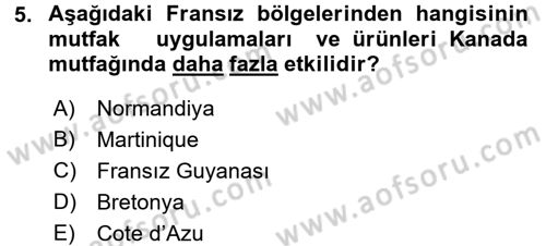 Dünya Mutfakları 1 Dersi 2016 - 2017 Yılı (Final) Dönem Sonu Sınav Soruları 5. Soru