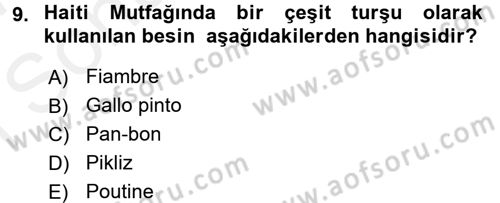 Dünya Mutfakları 1 Dersi 2016 - 2017 Yılı (Final) Dönem Sonu Sınav Soruları 9. Soru