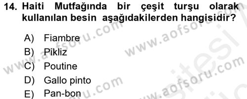 Dünya Mutfakları 1 Dersi 2017 - 2018 Yılı 3 Ders Sınav Soruları 14. Soru
