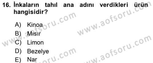 Dünya Mutfakları 1 Dersi 2017 - 2018 Yılı 3 Ders Sınav Soruları 16. Soru