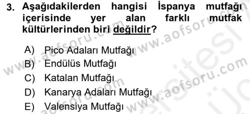 Dünya Mutfakları 1 Dersi 2017 - 2018 Yılı 3 Ders Sınav Soruları 3. Soru