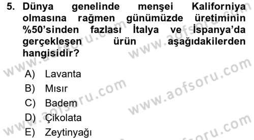 Dünya Mutfakları 1 Dersi 2017 - 2018 Yılı 3 Ders Sınav Soruları 5. Soru
