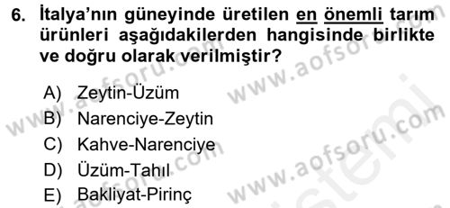 Dünya Mutfakları 1 Dersi 2017 - 2018 Yılı 3 Ders Sınav Soruları 6. Soru
