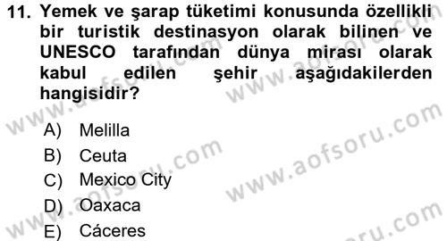 Dünya Mutfakları 1 Dersi 2017 - 2018 Yılı (Vize) Ara Sınav Soruları 11. Soru