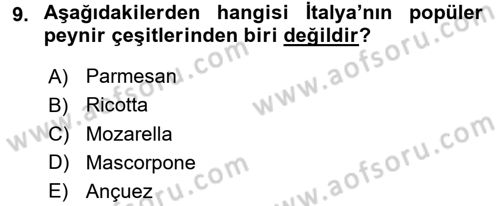 Dünya Mutfakları 1 Dersi 2017 - 2018 Yılı (Vize) Ara Sınav Soruları 9. Soru