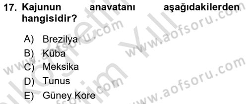 Dünya Mutfakları 1 Dersi 2020 - 2021 Yılı Yaz Okulu Sınav Soruları 17. Soru