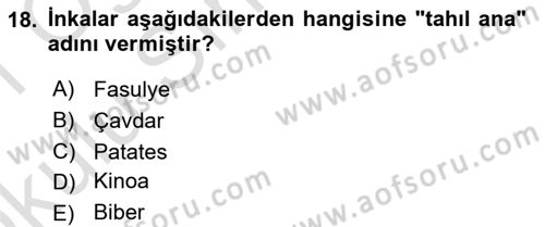 Dünya Mutfakları 1 Dersi 2020 - 2021 Yılı Yaz Okulu Sınav Soruları 18. Soru