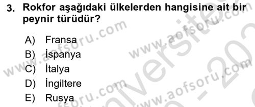 Dünya Mutfakları 1 Dersi 2020 - 2021 Yılı Yaz Okulu Sınav Soruları 3. Soru