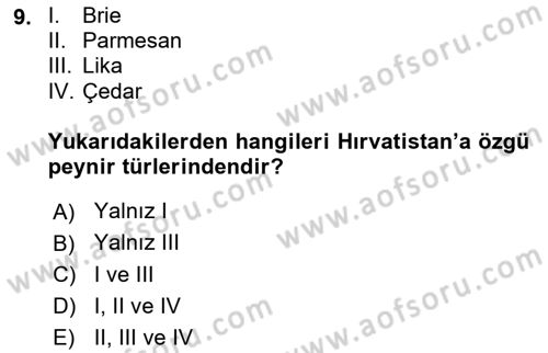 Dünya Mutfakları 1 Dersi 2020 - 2021 Yılı Yaz Okulu Sınav Soruları 9. Soru