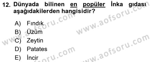 Dünya Mutfakları 1 Dersi 2021 - 2022 Yılı Yaz Okulu Sınav Soruları 12. Soru