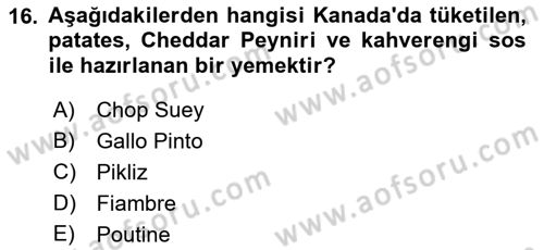 Dünya Mutfakları 1 Dersi 2021 - 2022 Yılı Yaz Okulu Sınav Soruları 16. Soru