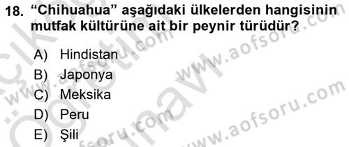 Dünya Mutfakları 1 Dersi 2021 - 2022 Yılı Yaz Okulu Sınav Soruları 18. Soru