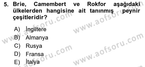 Dünya Mutfakları 1 Dersi 2021 - 2022 Yılı Yaz Okulu Sınav Soruları 5. Soru